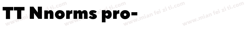 TT Nnorms pro字体转换